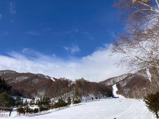 ワンダーランドかたしなレビューキャンペーン