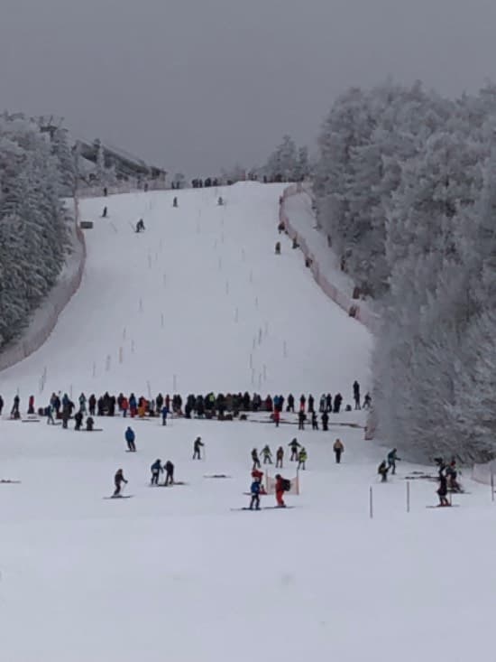 明日までインターハイ