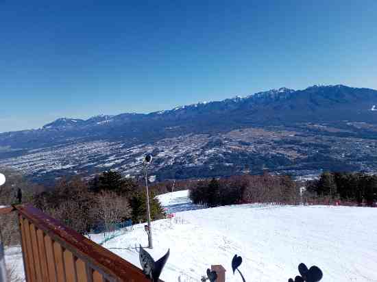 ゲレポン１月分