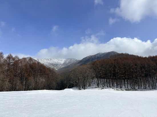 ワンダーランドかたしなレビュー