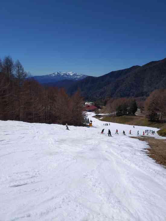 ワンダーランドかたしなレビューキャンペーン