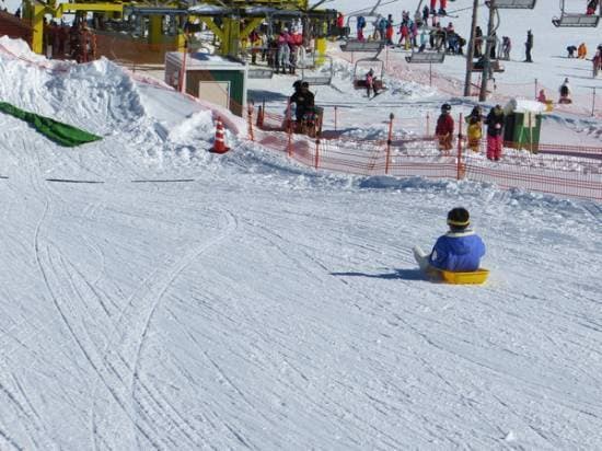 ワンダーランドかたしなレビューキャンペーン