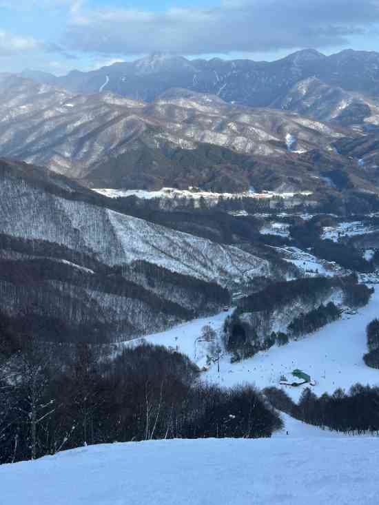 ワンダーランドかたしなレビューキャンペーン