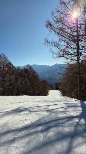 シニアになってからのミッフィーらんど