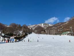 ワンダーランドかたしなレビューキャンペーン