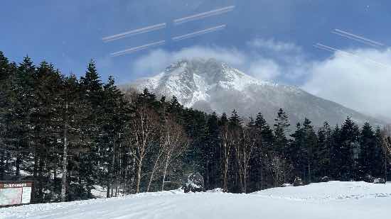 ワンダーランドかたしなレビューキャンペーン