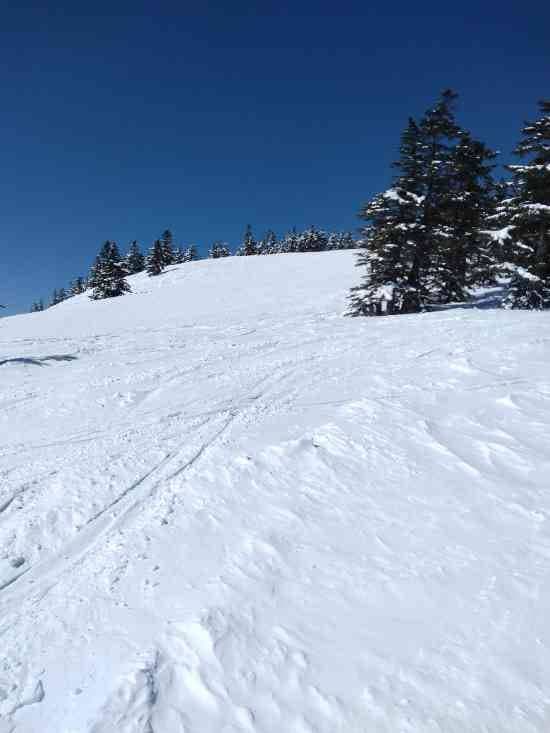 ワンダーランドかたしなレビューキャンペーン