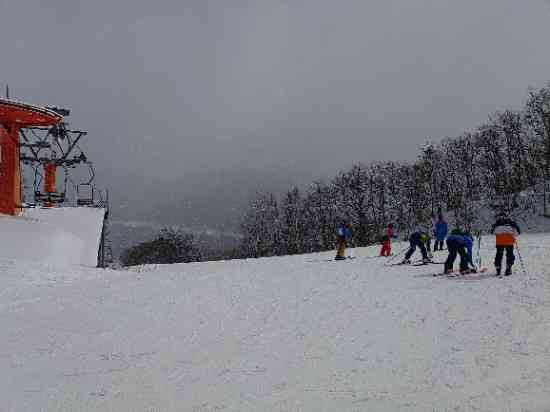 ワンダーランドかたしな