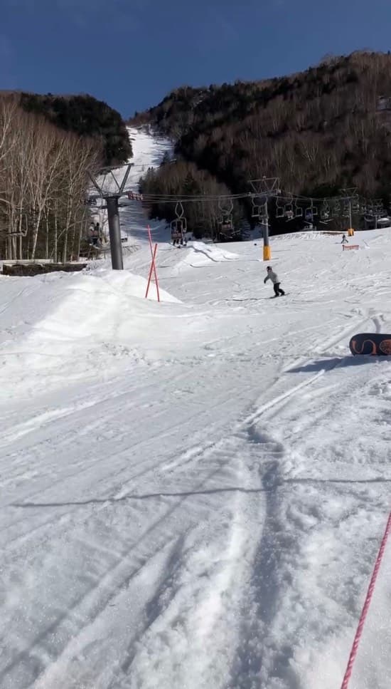 ワンダーランドかたしなレビューキャンペーン