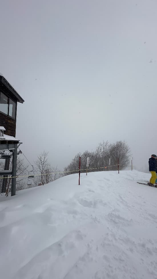 ワンダーランドかたしな