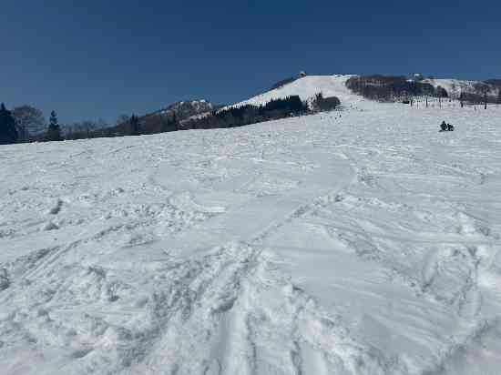 春スキーでゆったりです。