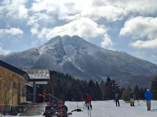 ワンダーランドかたしなレビューキャンペーン