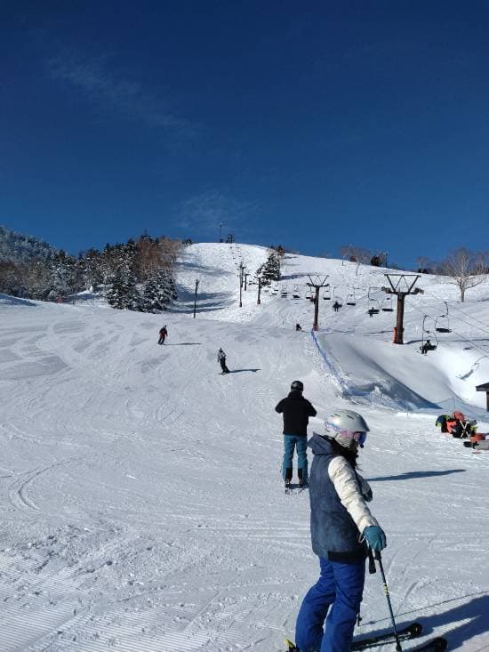 ワンダーランドかたしなレビューキャンペーン