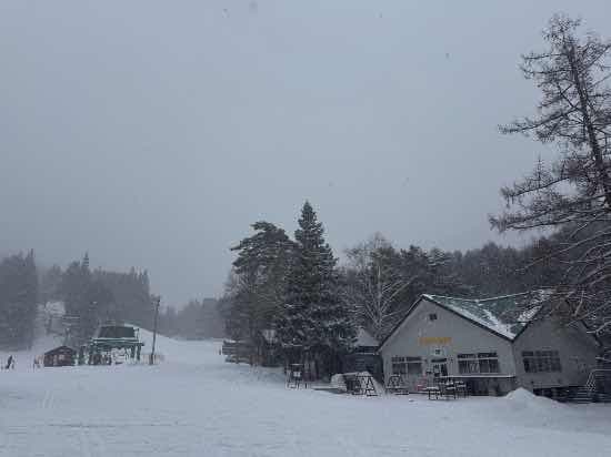 ワンダーランドかたしなレビューキャンペーン