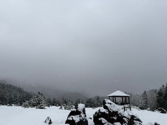 ワンダーランドかたしなレビューキャンペーン