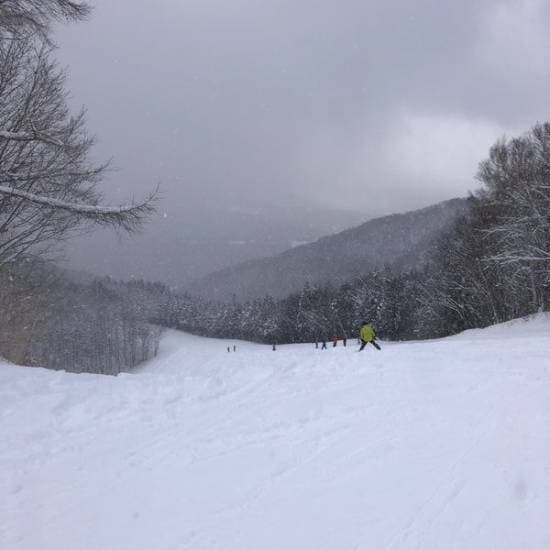 ワンダーランドかたしなレビューキャンペーン