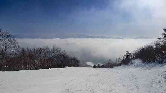 ワンダーランドかたしなレビューキャンペーン