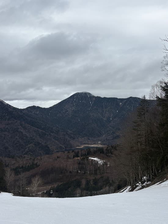 ワンダーランドかたしなレビューキャンペーン