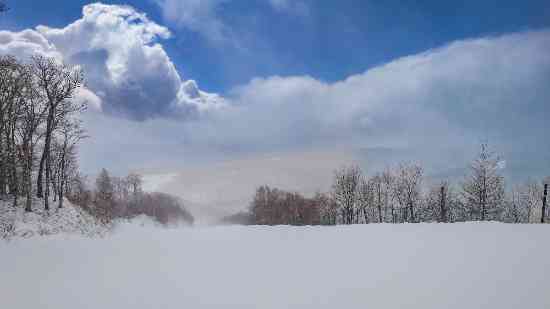 ワンダーランドかたしなレビューキャンペーン