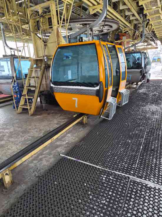 ワンダーランドかたしなレビューキャンペーン