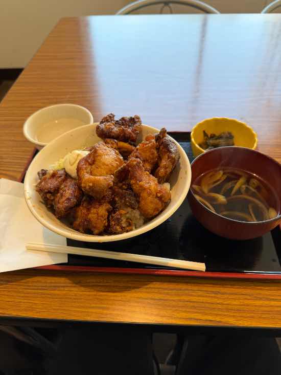 新緑の下