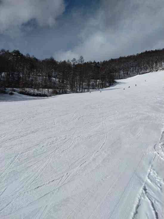 ワンダーランドかたしなレビューキャンペーン