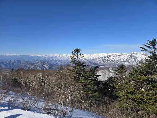 スキーヤーズパラダイス