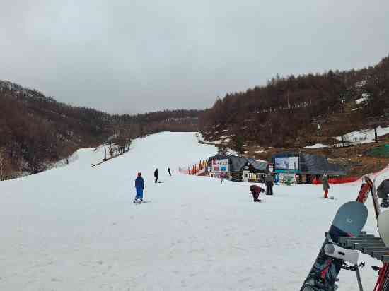 一日雨降りと霧