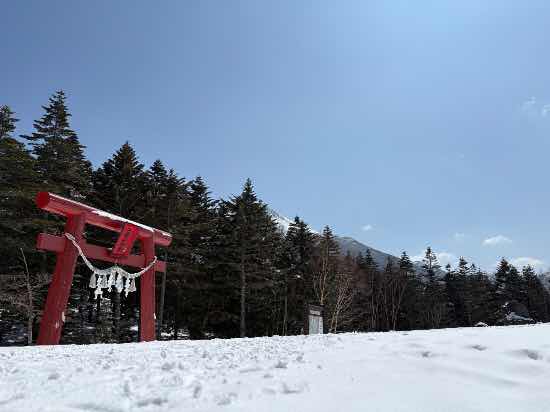 ワンダーランドかたしなレビューキャンペーン