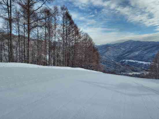 ワンダーランドかたしなレビューキャンペーン