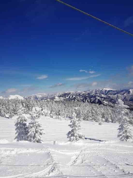 ワンダーランドかたしなレビューキャンペーン