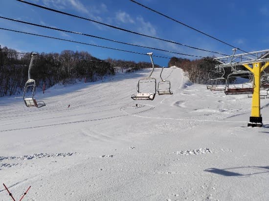 ワンダーランドかたしなレビューキャンペーン