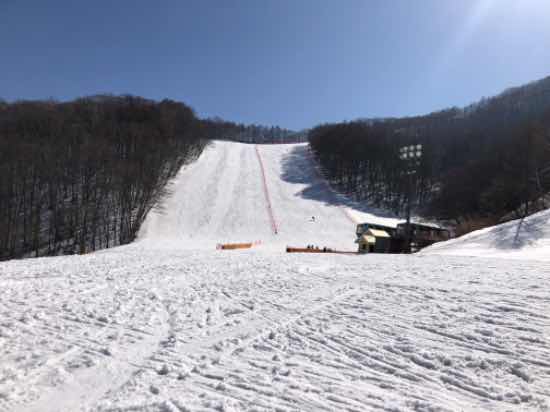 ［ワンダーランドかたしなレビューキャンペーン］