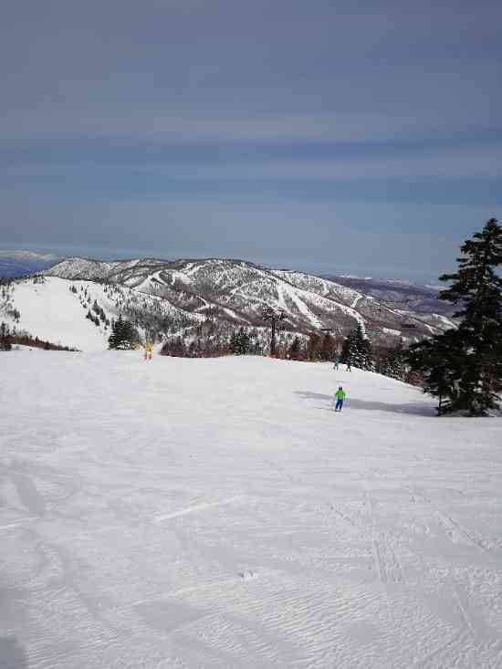 ワンダーランドかたしなレビューキャンペーン