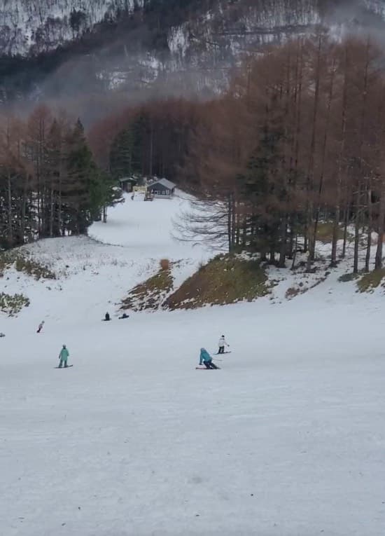 ワンダーランドかたしなレビューキャンペーン