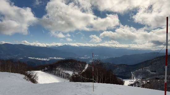 ワンダーランドかたしなレビューキャンペーン