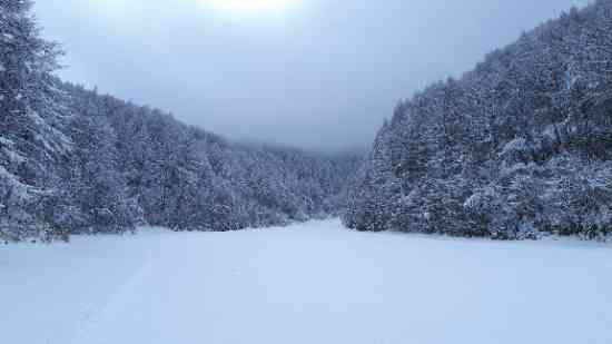 真冬に逆戻り？