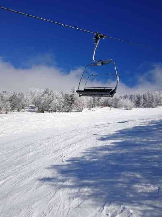 ワンダーランドかたしなレビューキャンペーン