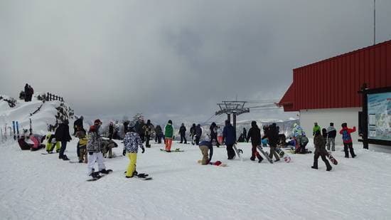 ワンダーランドかたしなレビューキャンペーン