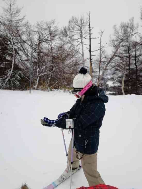 ワンダーランドかたしなレビューキャンペーン