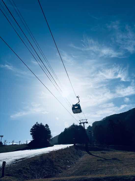 ワンダーランドかたしなレビューキャンペーン