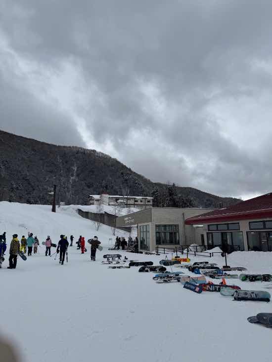 ワンダーランドかたしなレビューキャンペーン