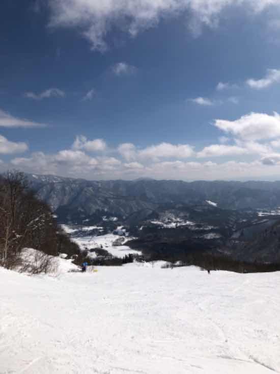 初心者コースが良い