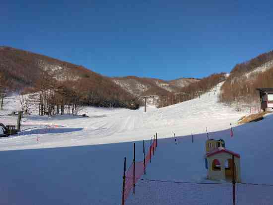 ワンダーランドかたしなレビューキャンペーン