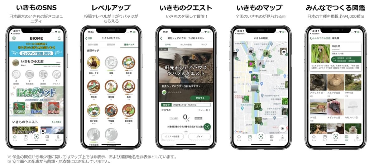 長野県茅野市・東急リゾートタウン蓼科にて、9月21日(土)から生き物観察イベントを開催