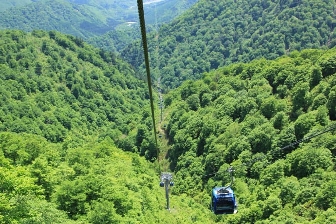 5つのゴンドラ・ロープウェーが乗り放題!Mt.Naeba&八海山で「空旅」を満喫プラン - 画像3