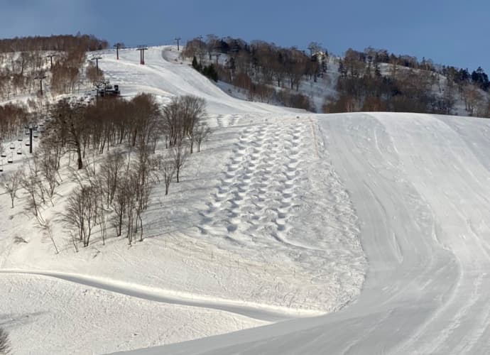 5つのゴンドラ・ロープウェーが乗り放題!Mt.Naeba&八海山で「空旅」を満喫プラン - 画像4