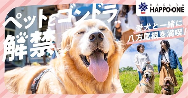 愛犬と一緒に大自然を満喫!標高1,400mの長野・白馬八方尾根うさぎ平にてグリーンシーズンで愛犬とのゴンドラ乗車同伴可能サービスがスタート!