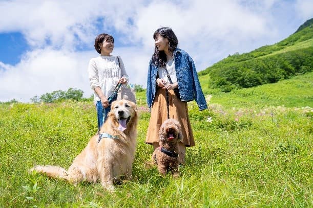 愛犬と一緒に大自然を満喫!標高1,400mの長野・白馬八方尾根うさぎ平にてグリーンシーズンで愛犬とのゴンドラ乗車同伴可能サービスがスタート! - 画像2