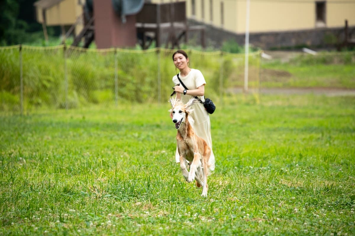 ロッテアライリゾート(新潟)に愛犬のための楽園が誕生。甲信越最大規模!自然あふれる屋外ドッグラン【ワイルドワン】が新登場!